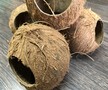 YUPI kokos mały (4)