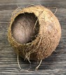 YUPI kokos mały (2)