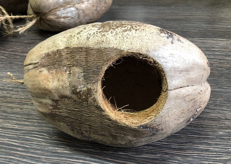 YUPI kokos duży (1)